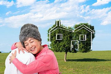 《刺客信条：影》兴趣点不会很密集 玩家能欣赏美景